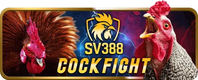 Hỗ trợ khách hàng V7SB